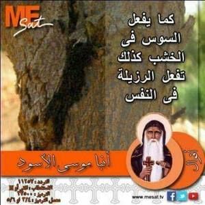 Meet your Posher, Marian